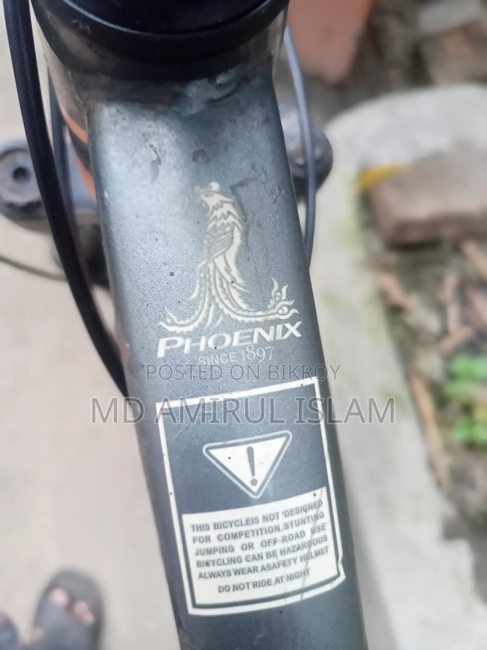 ফিনিক্স মাউন্টেন বাইক