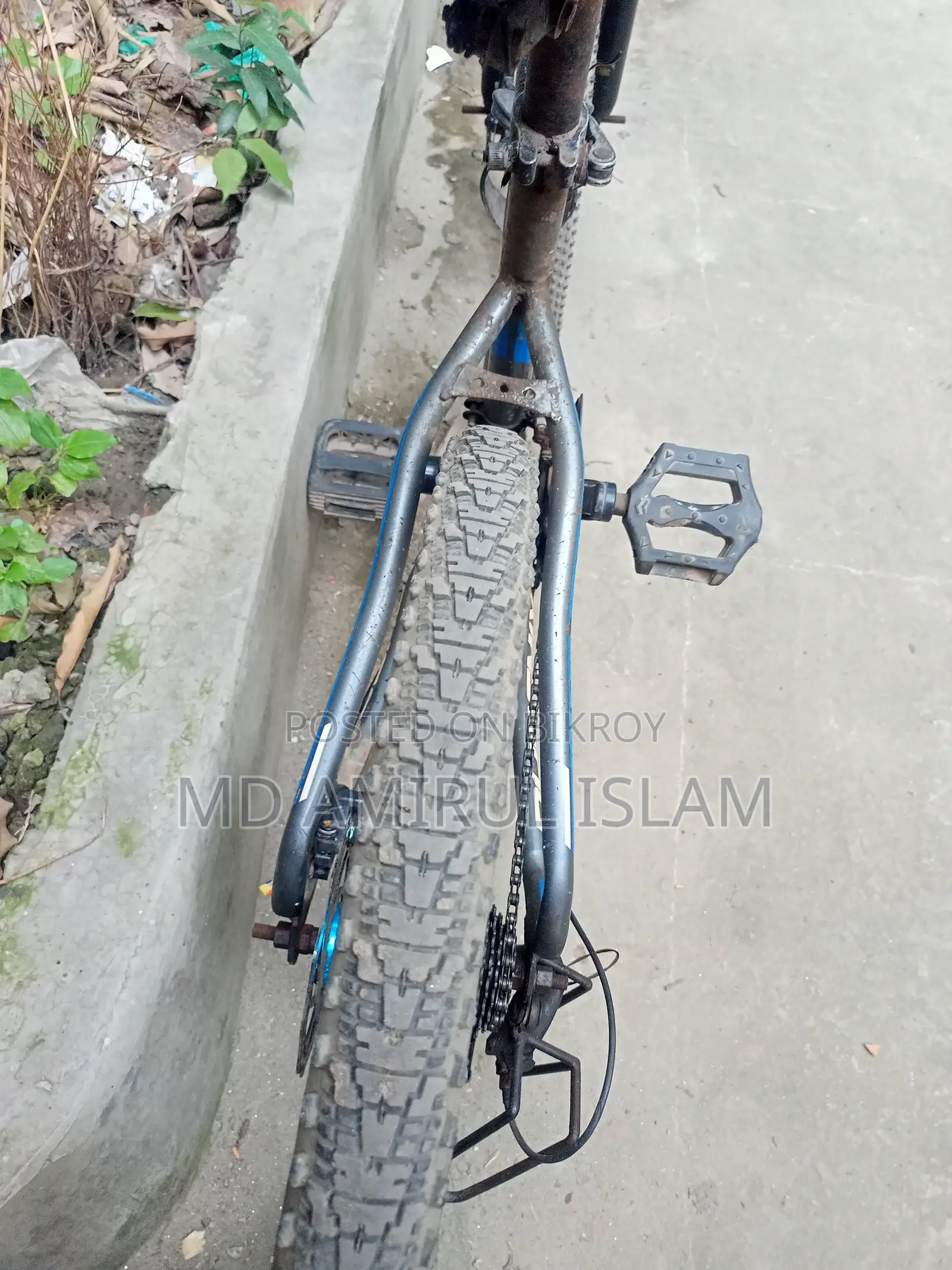 ফিনিক্স মাউন্টেন বাইক