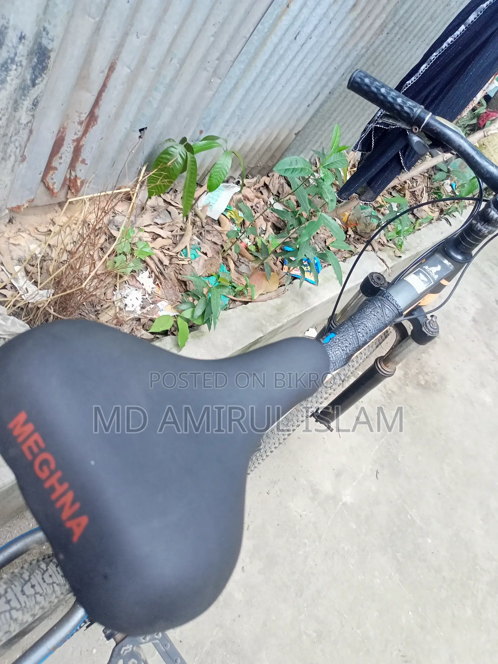 ফিনিক্স মাউন্টেন বাইক