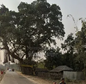 A piece of land suitable for living