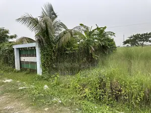 P-Block, (3+3)=6 Katha, Plot Urgent Sell, Bashundhara R/A