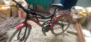 বাই সাইকেল