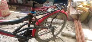 বাই সাইকেল