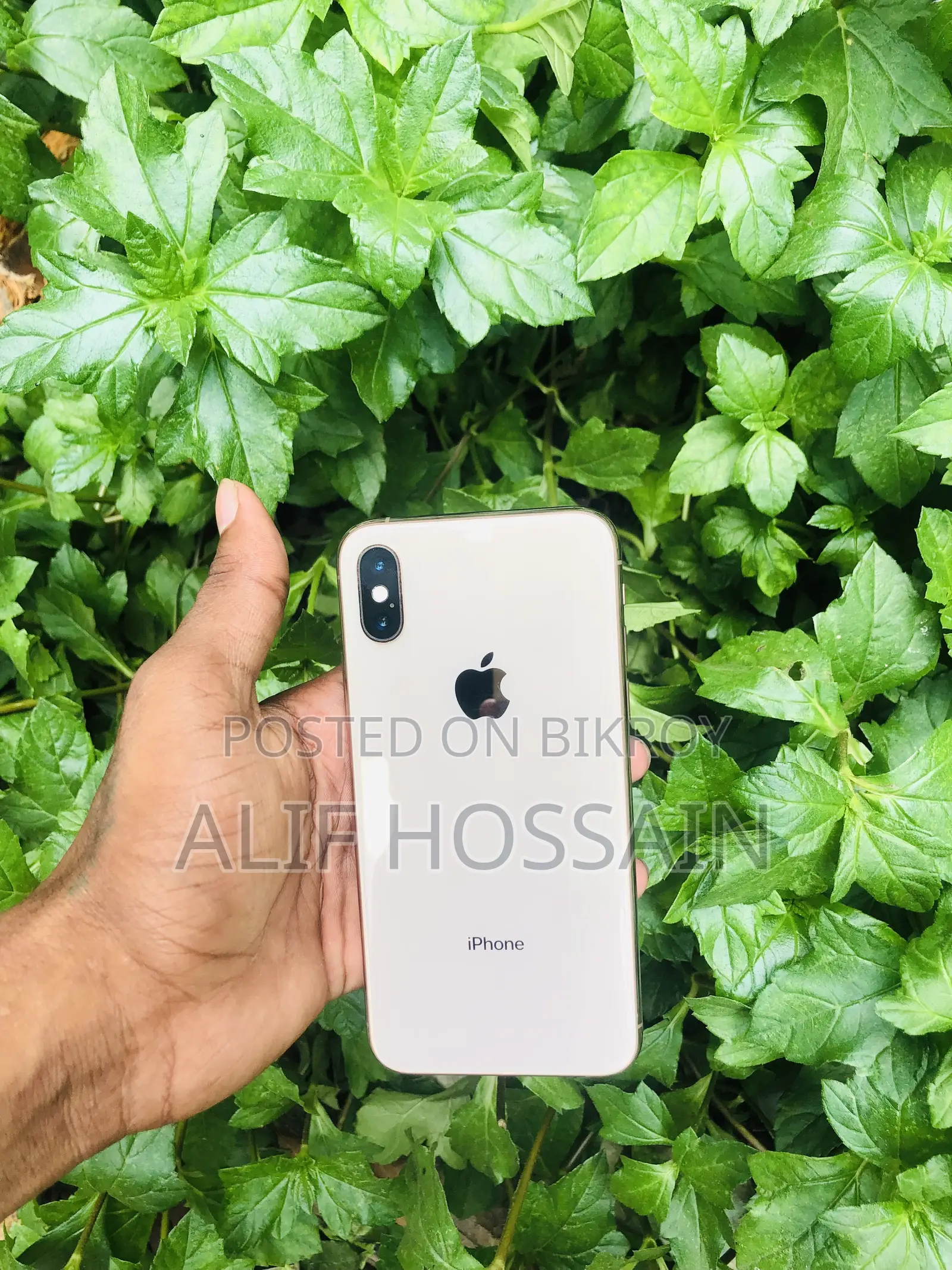 Apple iPhone XS 64 GB Gold