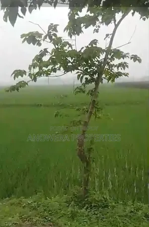 Agricultural land for sale.