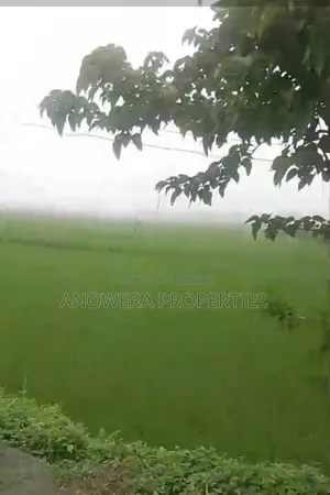 Agricultural land for sale.