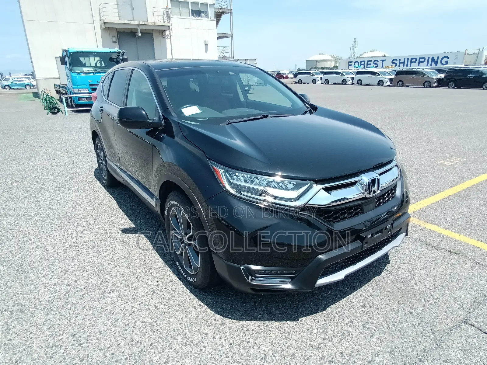 Honda CR-V 2022 Pearl
