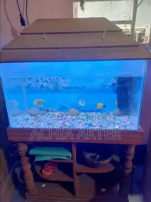 2 Feet Aquarium
