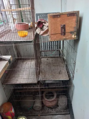 Bird Cage Each Price দিয়া হলো
