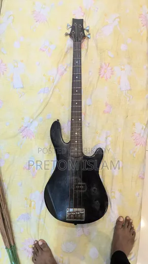 Bass Guitar
