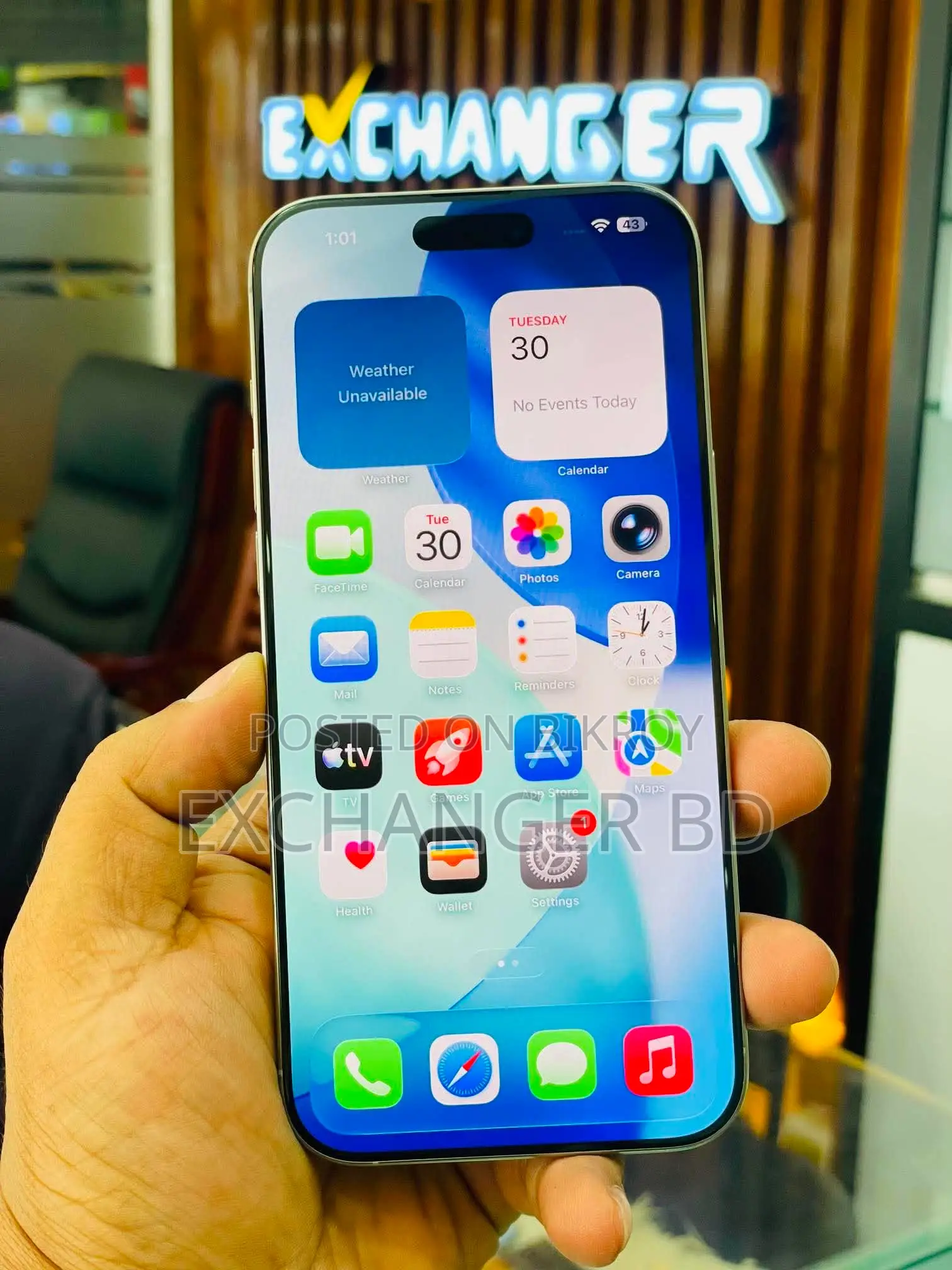 Apple iPhone 16 Pro Max 256 GB Gray