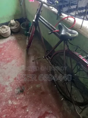 বাইসাইকেলে বিক্রি হবে