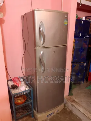 LG Butterfly Refrigerator Silver Colour