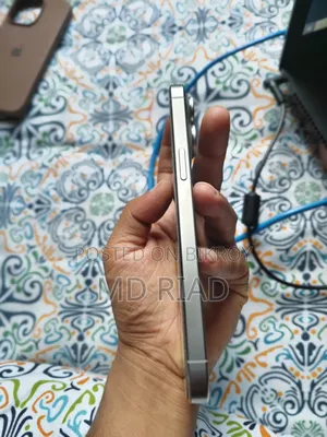 Apple iPhone 15 Pro Max 256 GB Silver