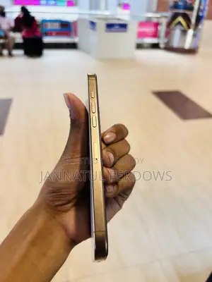 Apple iPhone 16 Pro Max 256 GB Rose Gold