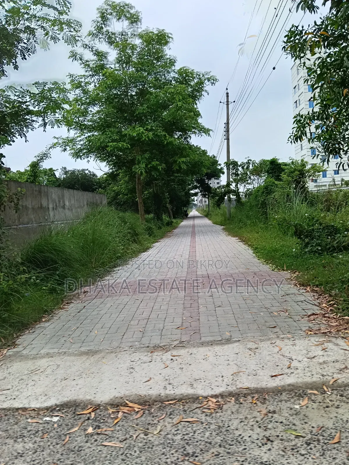Block-N, South Facing 5 Katha Plot near Central Mosque