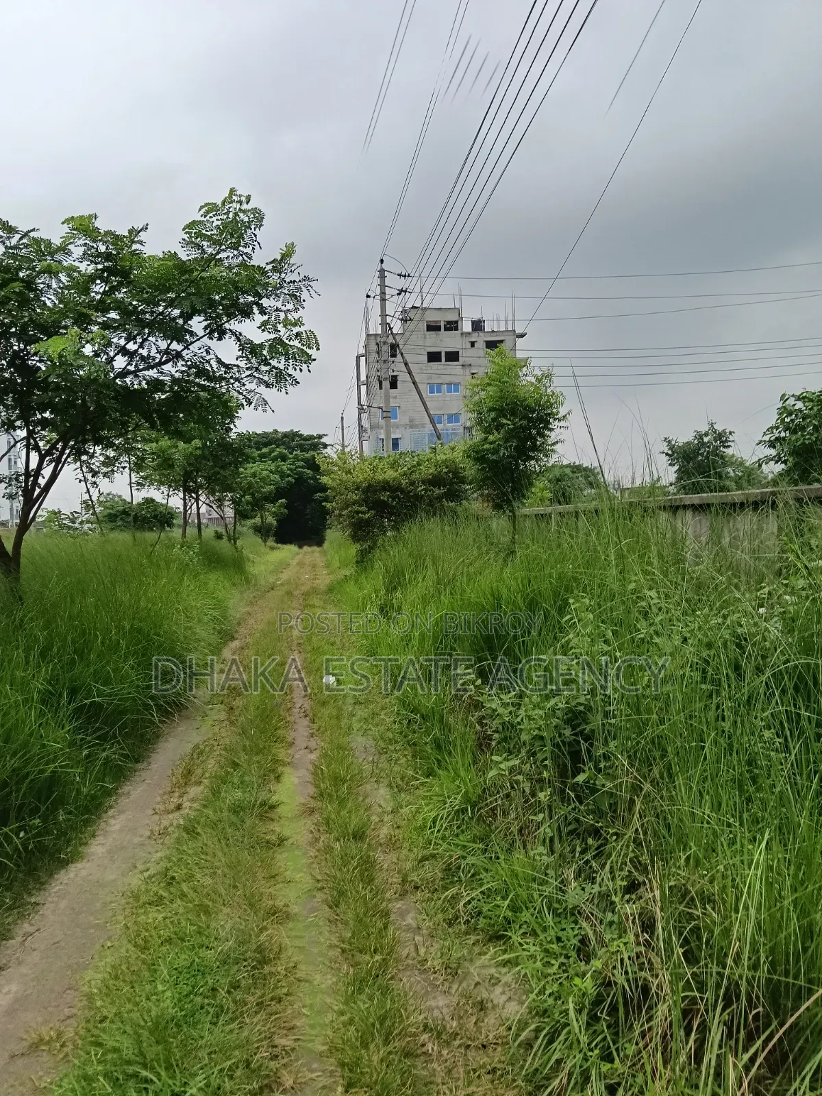 Block-N, South Facing 5 Katha Plot near Central Mosque