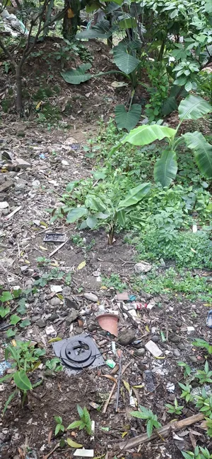 স্বল্প মূল্যে "সাউথ টাউন" ৩ কাঠা প্লট এর মালিকানা হস্তান্তর হইবে ।