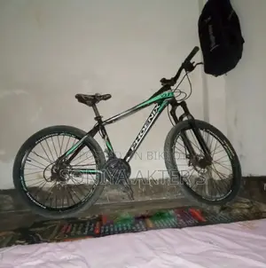 ফিনিক্স বাইসাইকেল