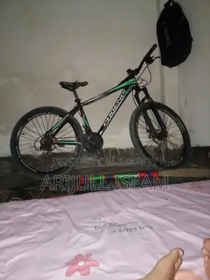 Phoenix Bycycle