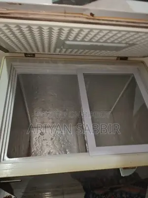 সিঙ্গার ডিপ ফ্রিজার