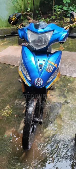 রানার কাইট + ১১০ ২০১৮ ব্লু