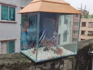 8-12 Inch Aquarium.