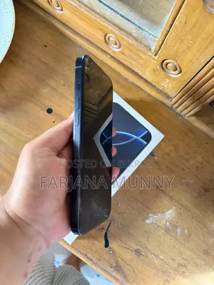 Apple iPhone 16 Pro Max 256 GB Black