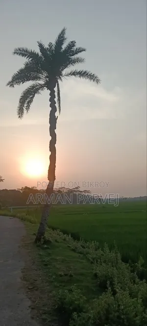Oppo F27 Pro 5G 256 GB Green
