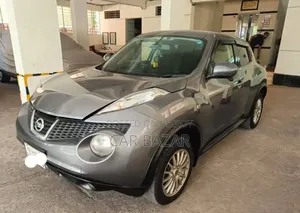 Nissan Juke 2014 Gray