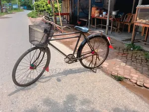 ফিনিক্স ২৮ ইঞ্চি নতুন টায়ার, টিউব এবং বাস্কেট