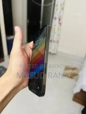 Apple iPhone 12 Pro 256 GB Gray