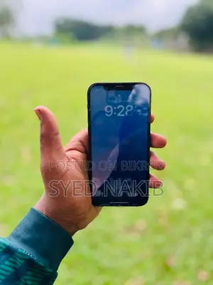 Apple iPhone 12 Pro 128 GB Gray