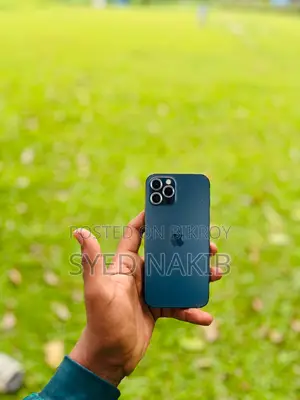 Apple iPhone 12 Pro 128 GB Gray