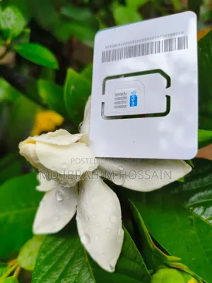 9esim V0 Adapter
