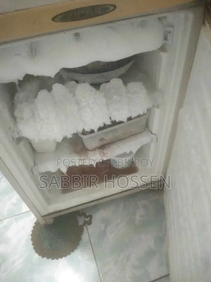 LG Refrigerator LG Fridge