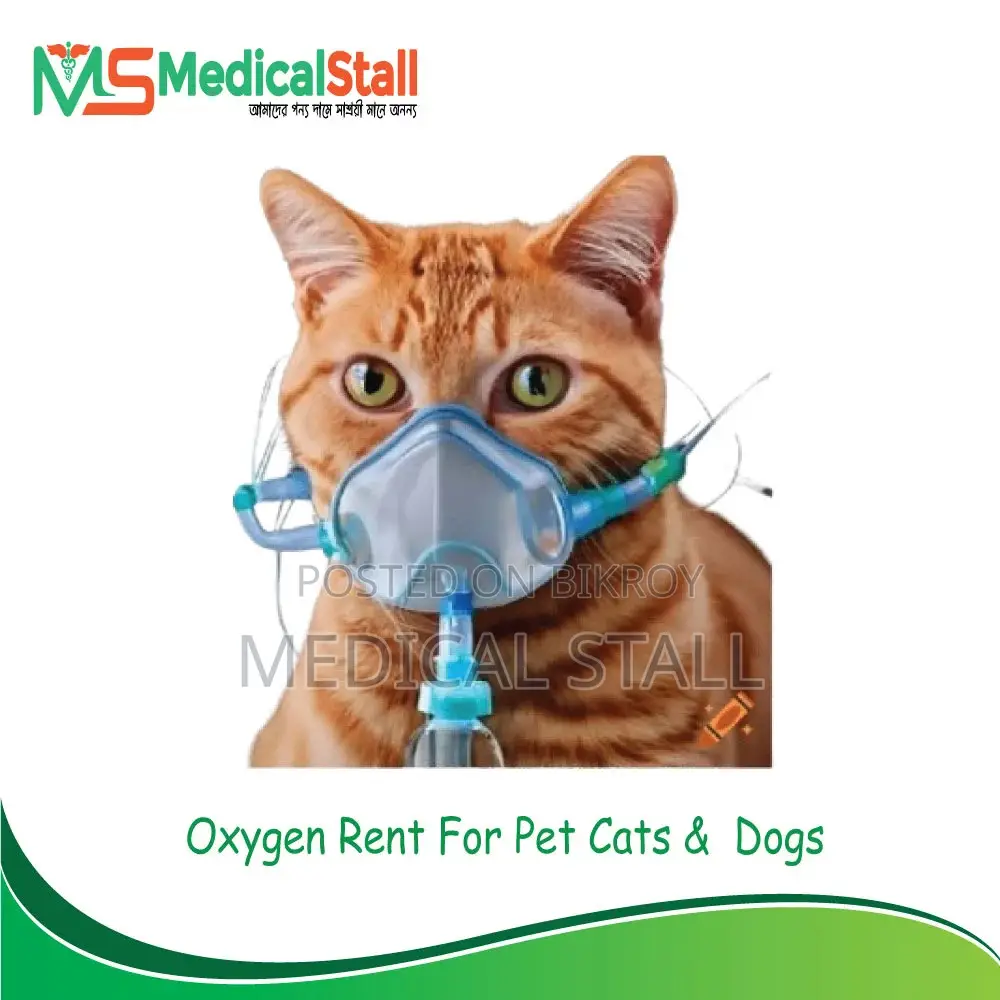 Oxygen Rent for Pet Cats Dogs