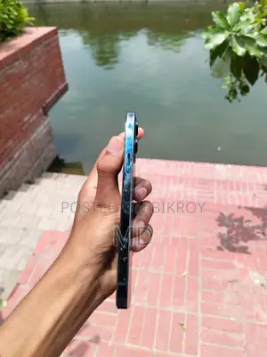 Apple iPhone 12 Pro Max 128 GB Blue