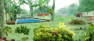 Secured Firm For Rent At Burulia-dhaka
