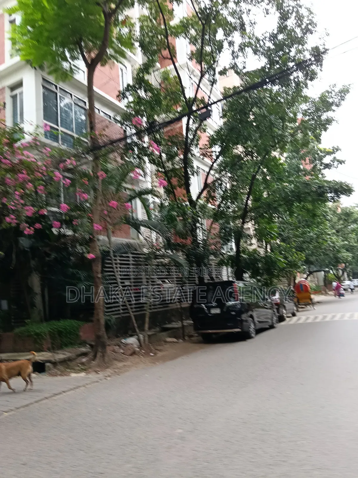 Block-G, 3+3=6, Katha South Face Plot Sale