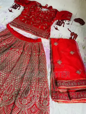 Gorgeous Party Lehenga