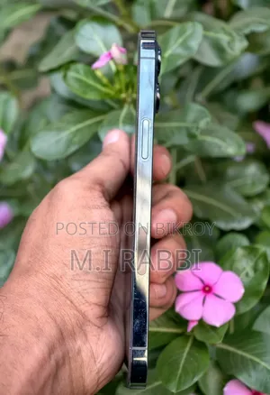 Apple iPhone 12 Pro Max 128 GB Blue
