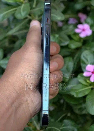 Apple iPhone 12 Pro Max 128 GB Blue