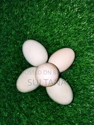 দেশি হাঁসের ডিম