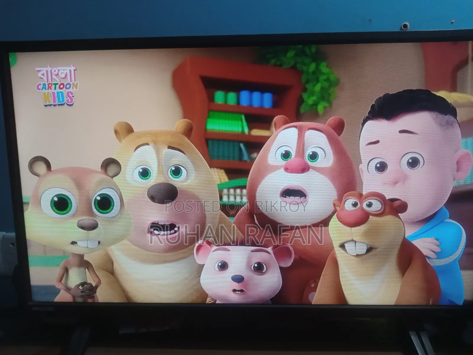 Walton Television for Sale