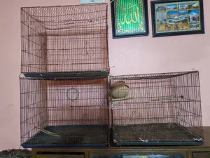 পাখির খাঁচা