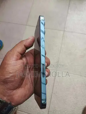 Apple iPhone 12 Pro Max 256 GB Blue