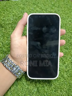 Apple iPhone 13 Pro Max 256 GB White