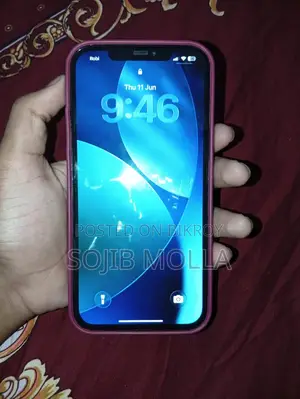 অ্যাপল আইফোন ১২ প্রো ম্যাক্স ২৫৬ জিবি ব্লু
