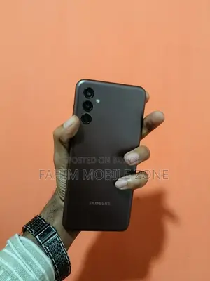 Samsung Galaxy F13 64 GB Gray